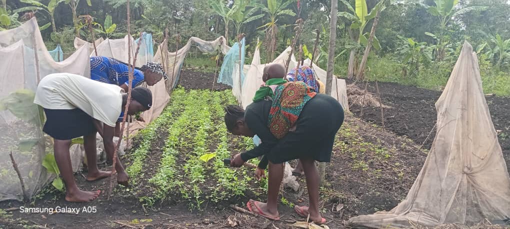 Empowering Communities. Creating Opportunities. Restoring Dignity.